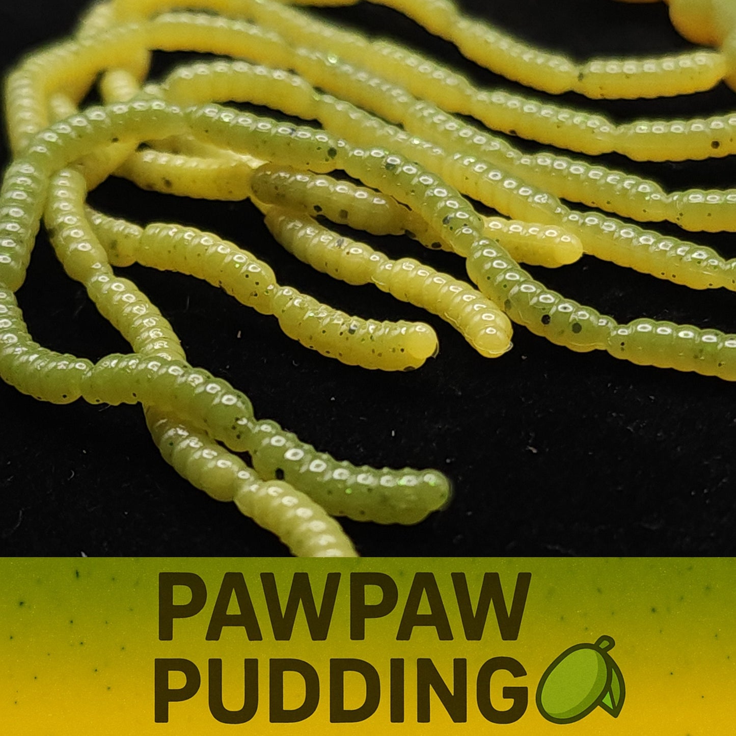 Jar Of Half Inch Micro Maggot Fly Larvae Apple Maggot Lure