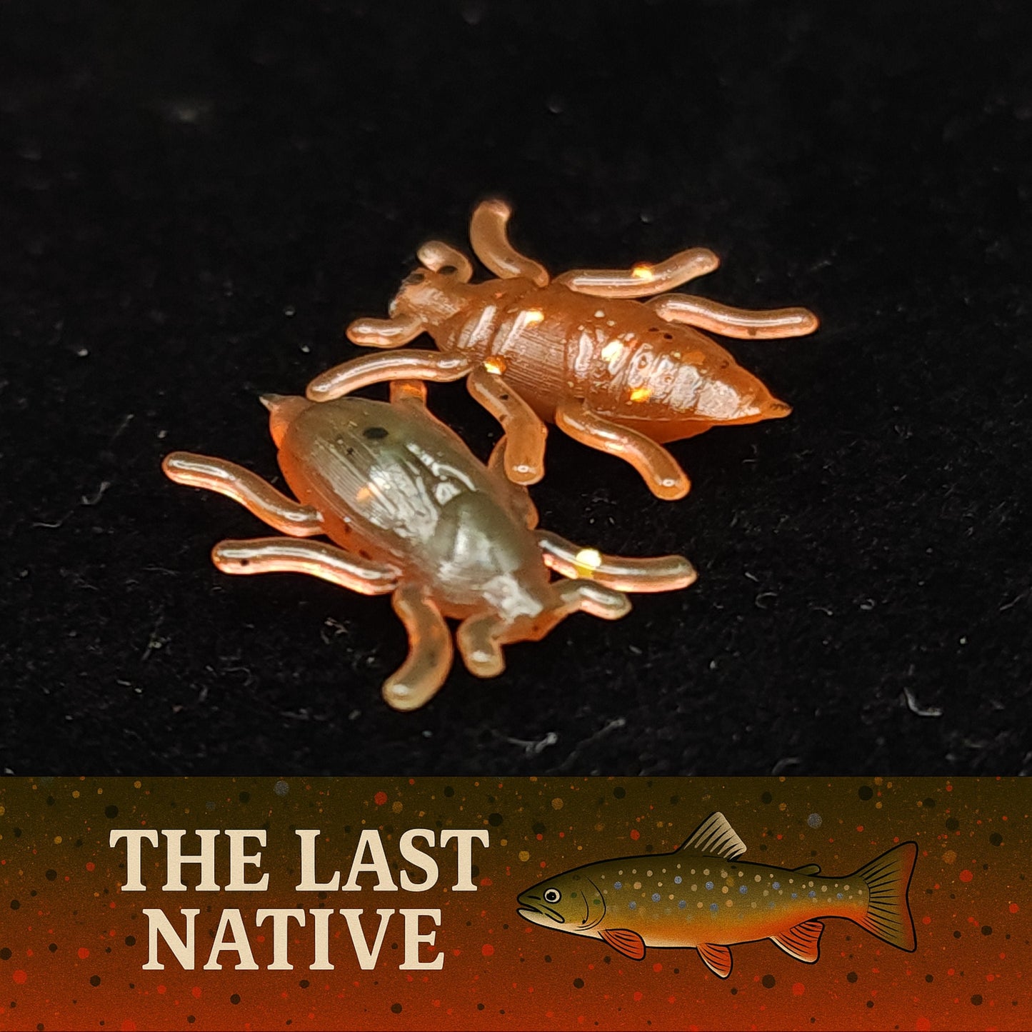 Toe Biter Micro Beetle Soft Plastics Jar Pack 8 Lures