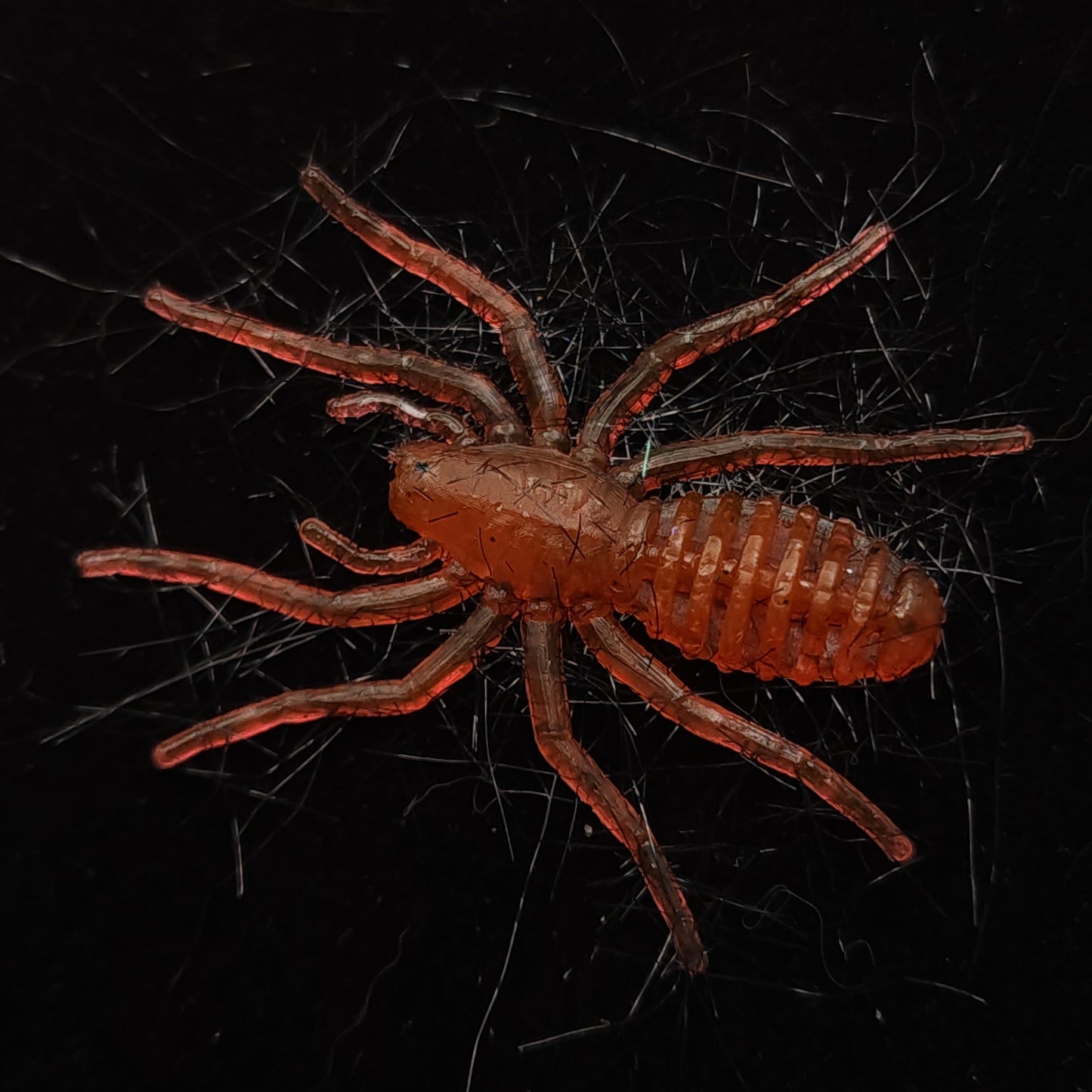 The Writing Spider 1 Inch Micro Spider Bait Plastic Lure