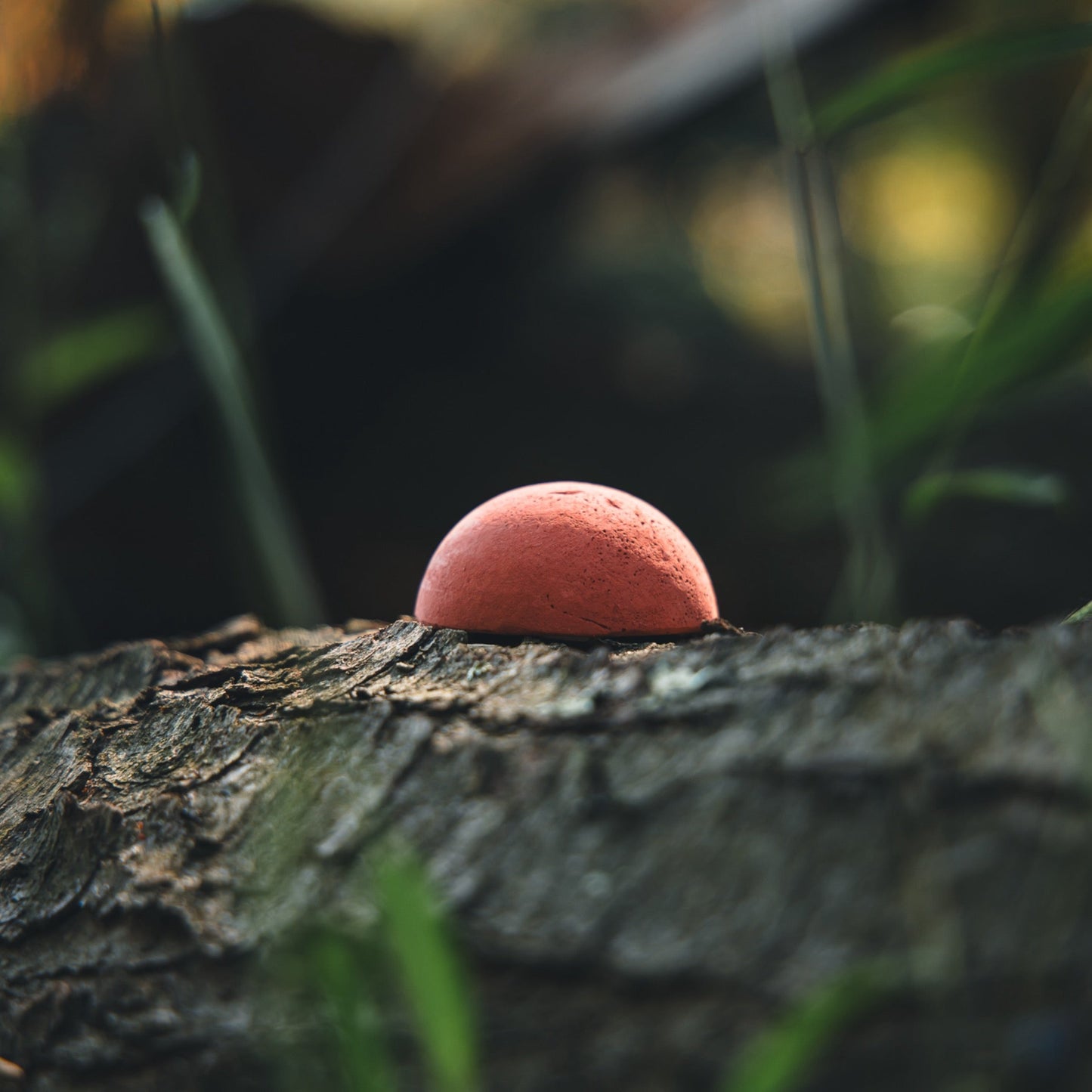 Red Kluk Chalk for Lady Love and Natural Box Calls
