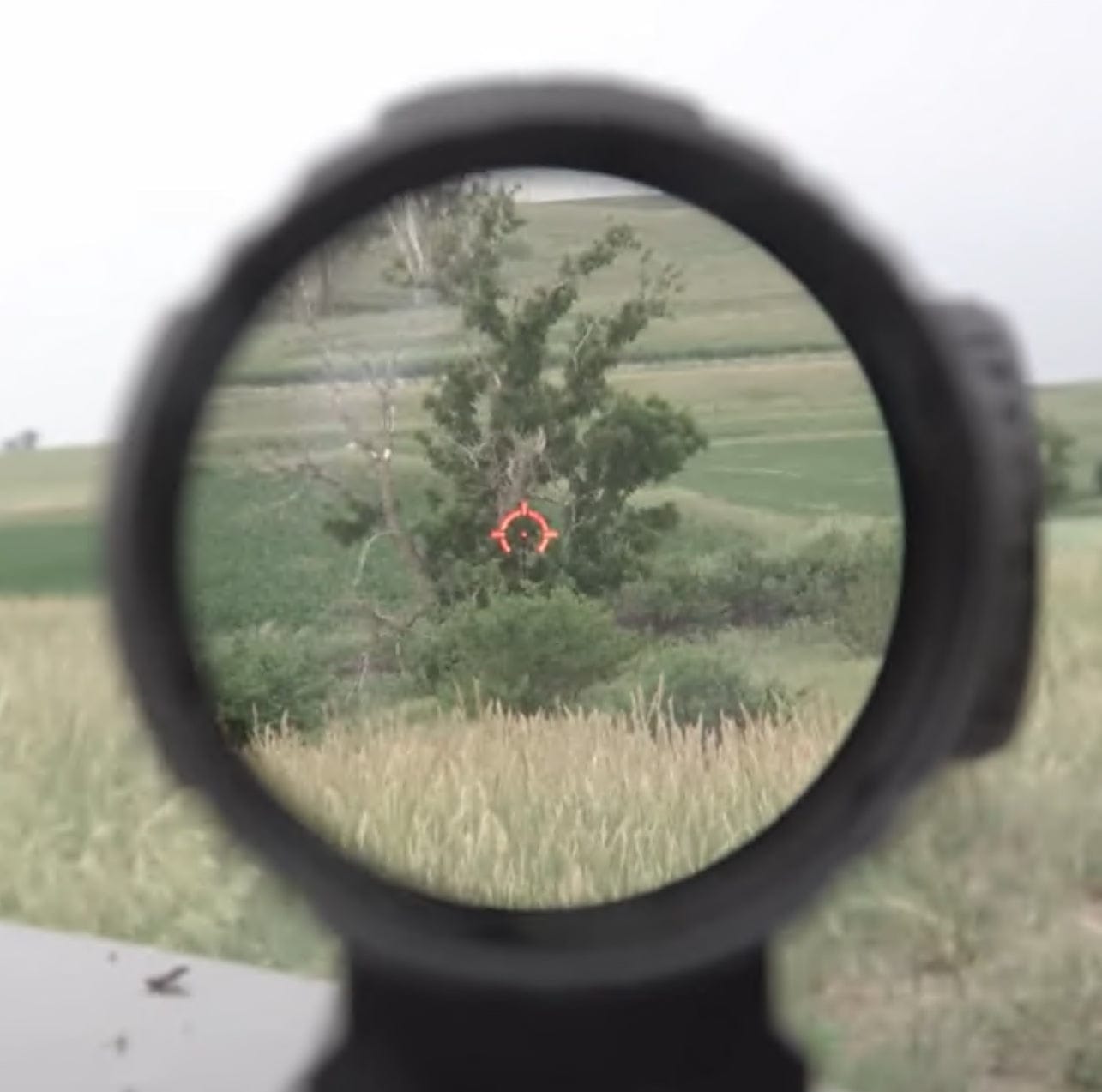 Paragon 4x24 Compact Prism Scope For Precision Shooters