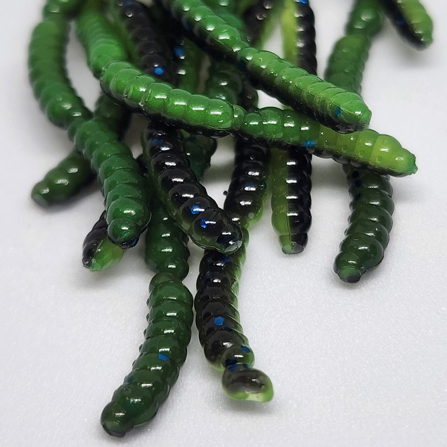 Jar Of Half Inch Micro Maggot Fly Larvae Apple Maggot Lure