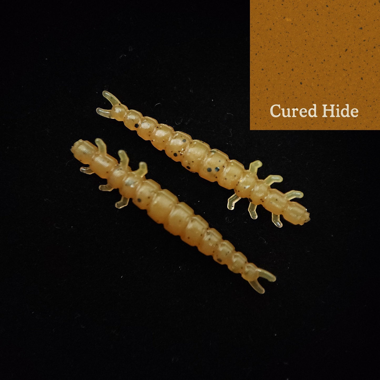 Stream Weaver Caddis Fly Larvae Pebble Encased 1.3 Inch