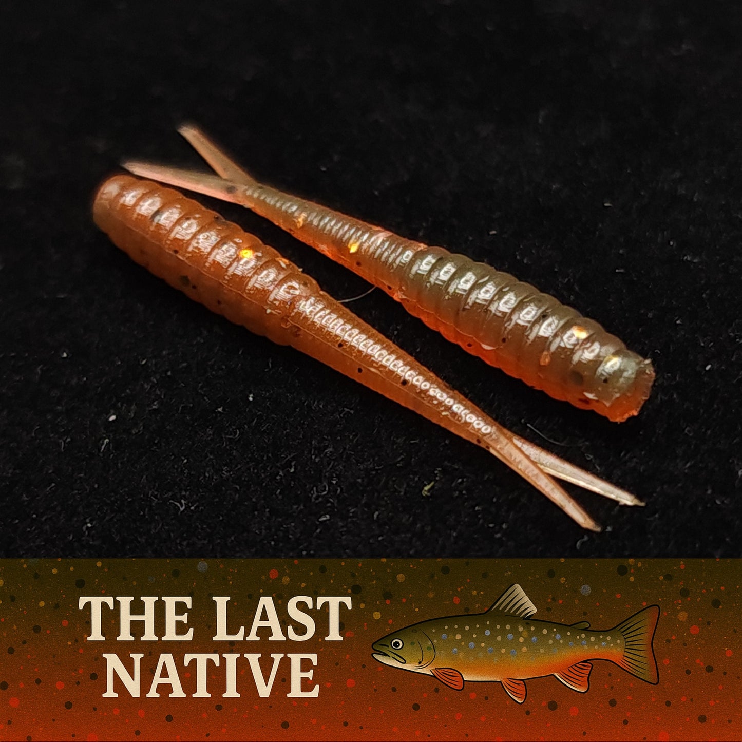 Stream Weaver Caddis Fly Larvae Pebble Encased 1.3 Inch