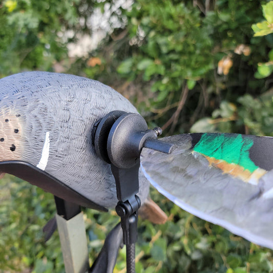 Animator V2 Upgrade for Mojo Elite Teal GWT and BWT