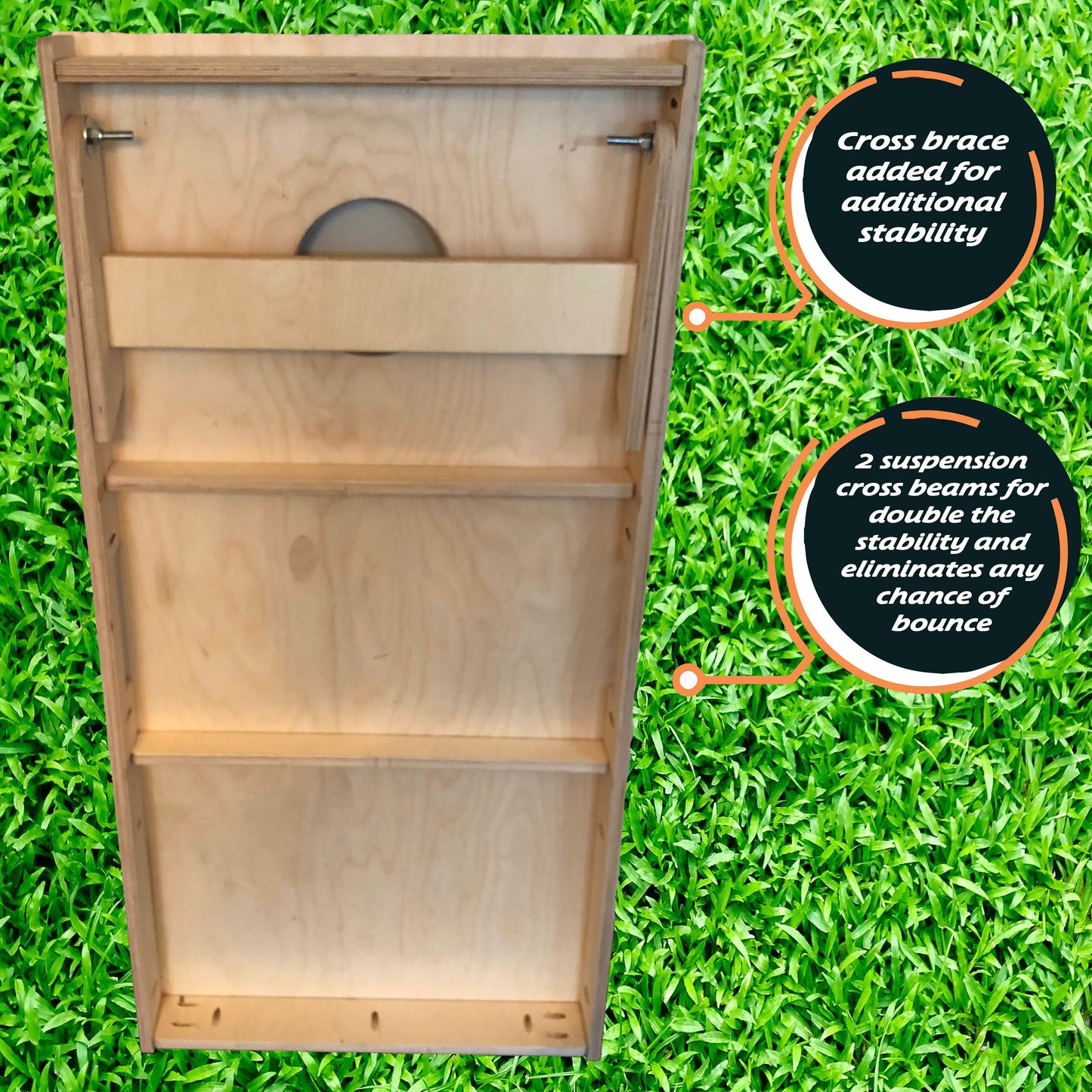 Michigan Roots Up Exterior Grade Baltic Birch Cornhole Set