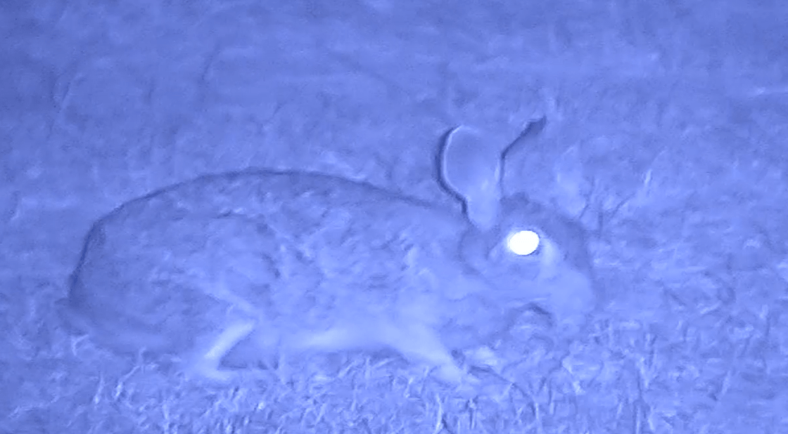 NVx7 Digital Night Sight For Night Hunting And Defense