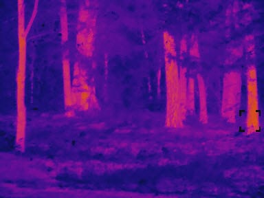 Pit Viper Thermal Rifle Scope For Hunting And Defense